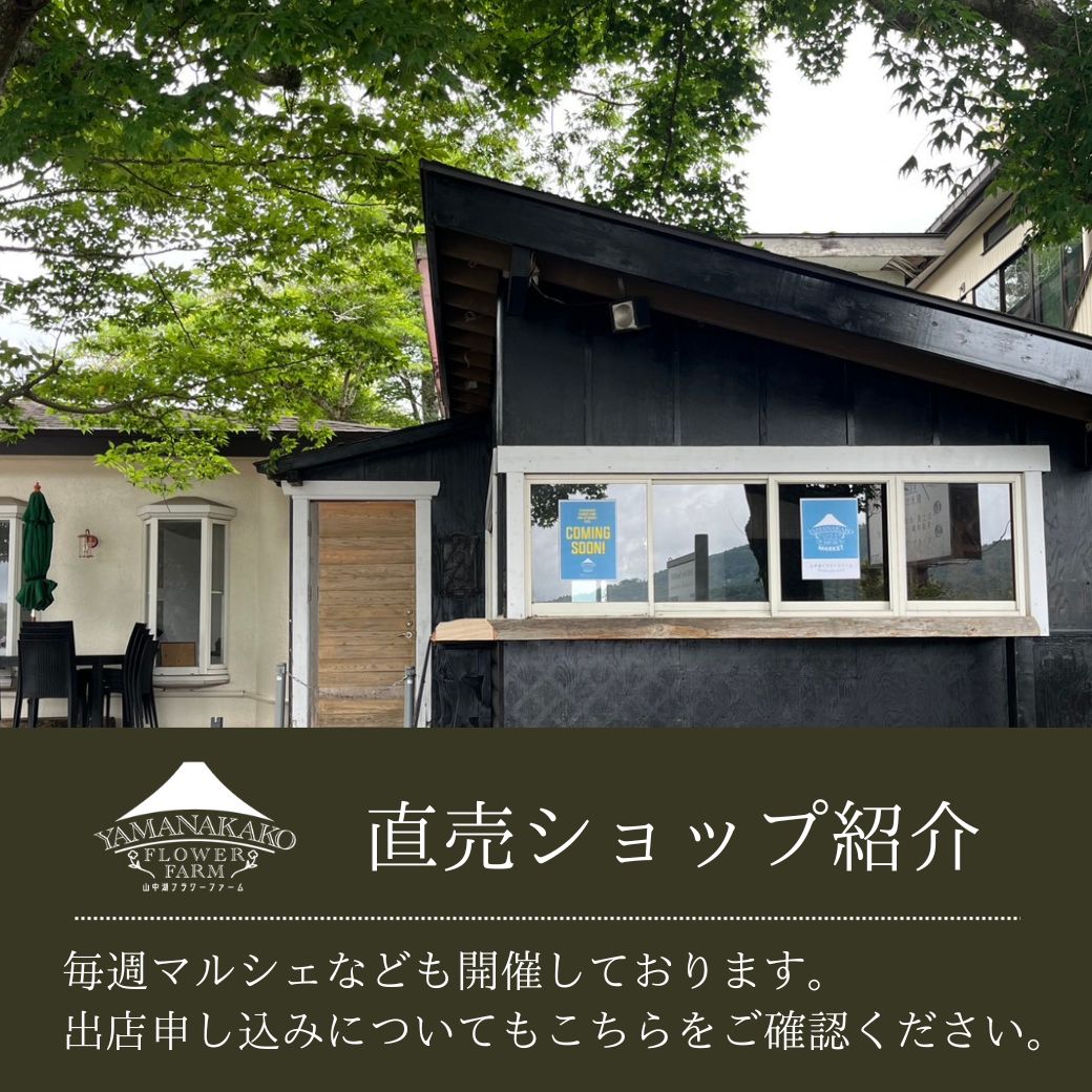 山中湖フラワーファーム
